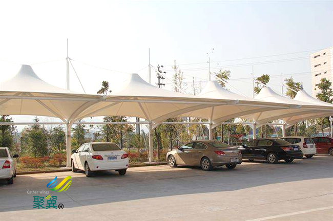   JY帽頂棚 (49 (52)